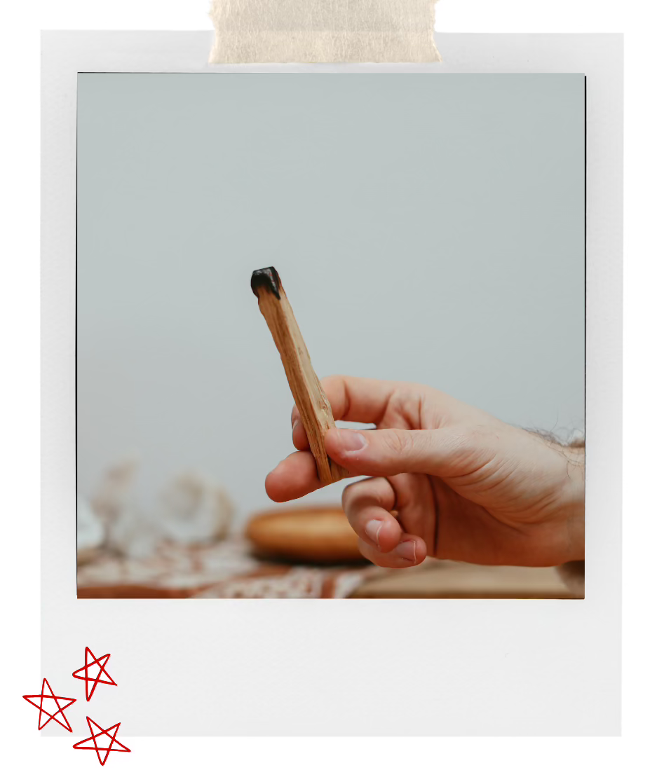 PALO SANTO