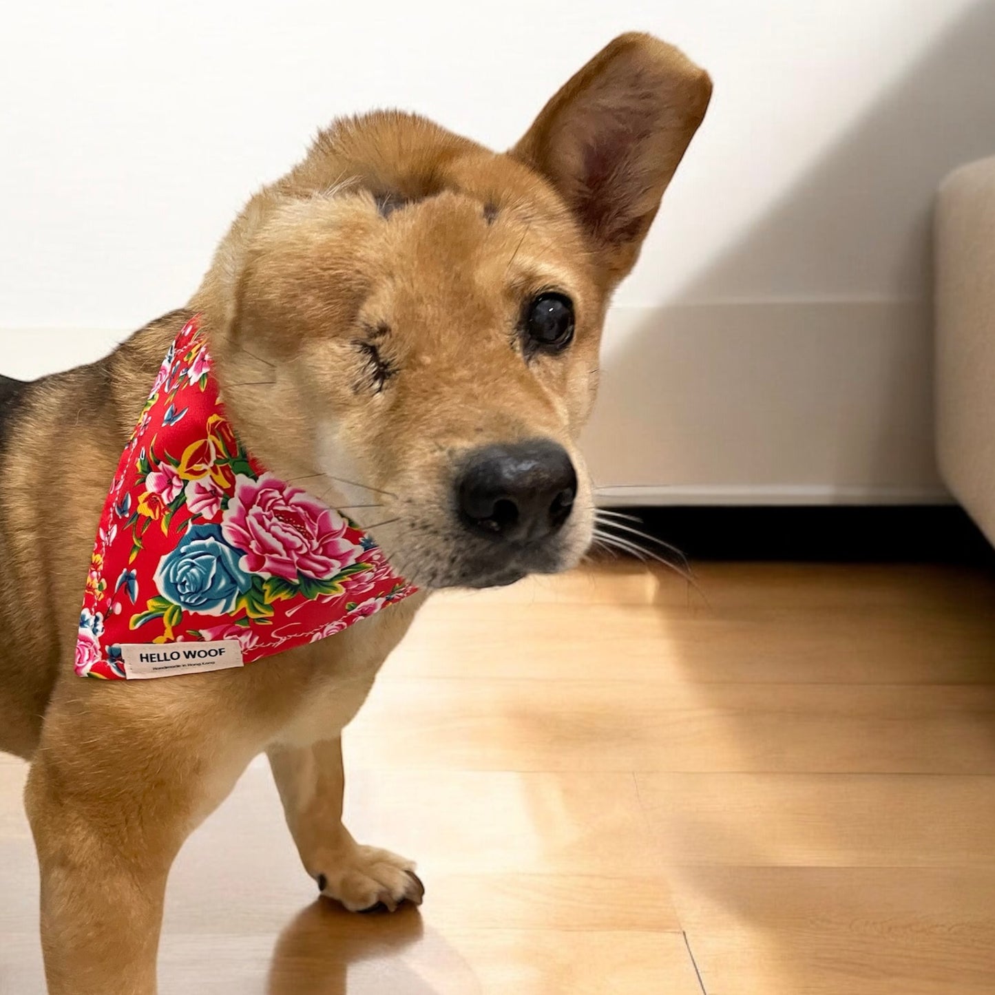 Red Flower Bandana with Collar