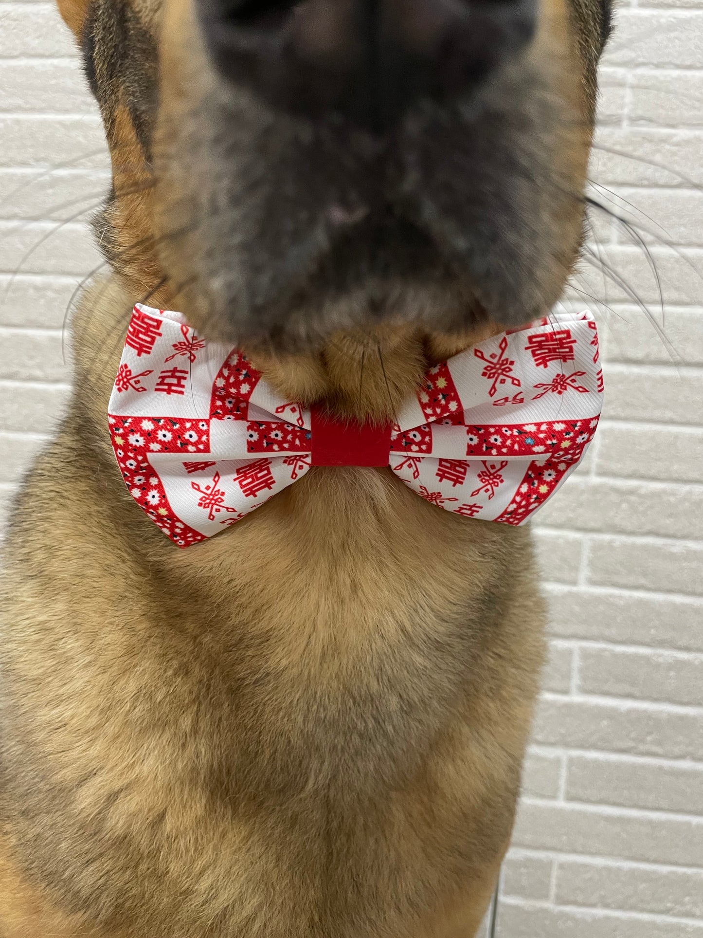 Happy Children Wish Bow Tie
