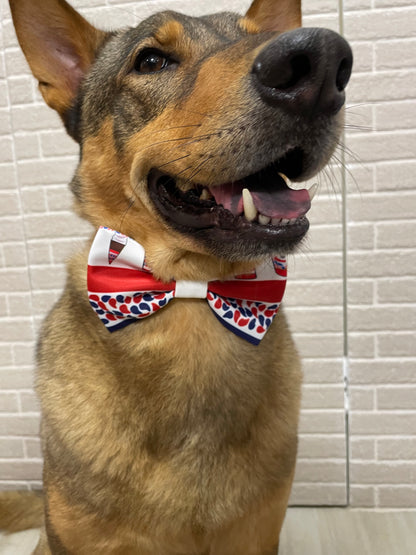 Ice-Cream Truck Bow Tie