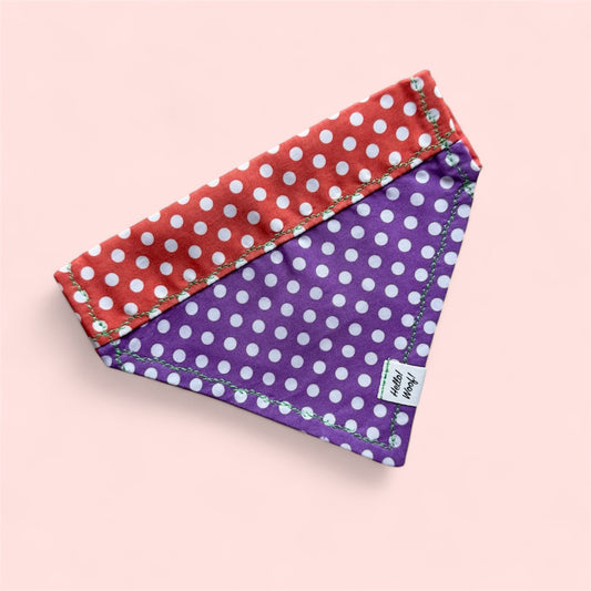 Dotty Duo Bandana